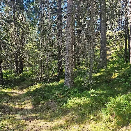 5 Bedroom Stunning In